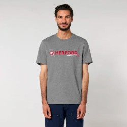 BBG Herford T-Shirt "BBGeistert" in Grau